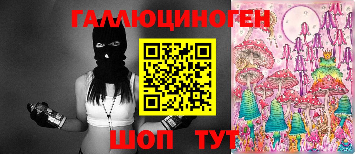 Псилоцибиновые грибы GOLDEN TEACHER Камень-на-Оби