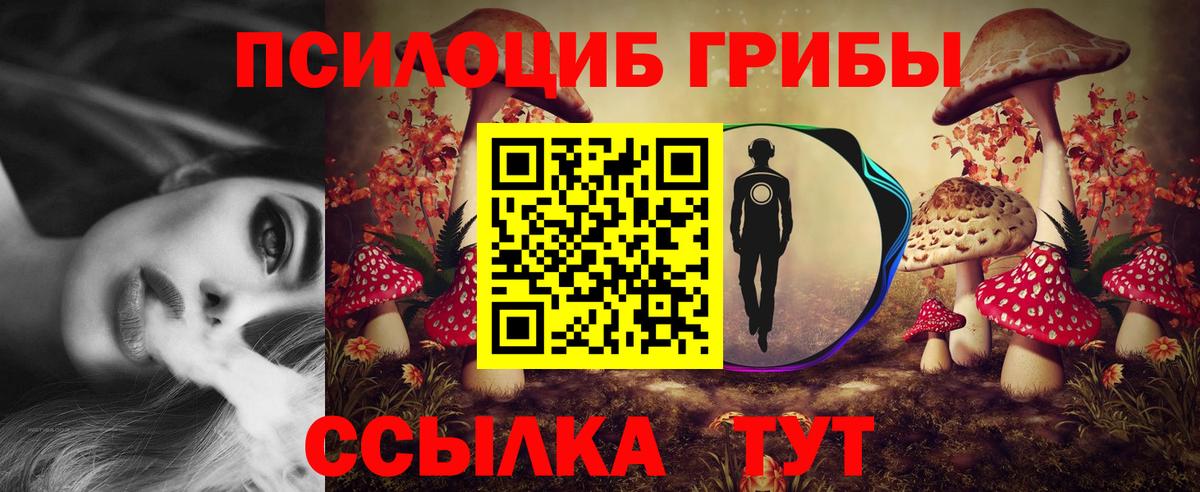 Камень-на-Оби  Псилоцибиновые грибы мицелий  Вход с VPN 
